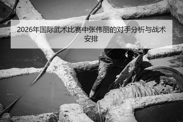 2026年国际武术比赛中张伟丽的对手分析与战术安排