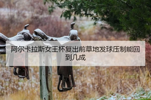 a-er-ka-la-si-nv-wang-bei-fu-chu-qian-cao-di-fa-qiu-ya-zhi-neng-hui-dao-ji-cheng-2-861.jpg