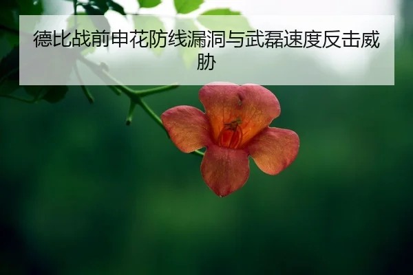 de-bi-zhan-qian-shen-hua-fang-xian-lou-dong-yu-wu-lei-su-du-fan-ji-wei-xie-2-343.jpg