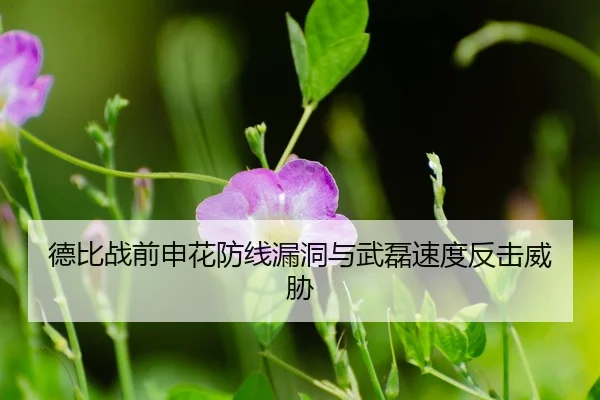 de-bi-zhan-qian-shen-hua-fang-xian-lou-dong-yu-wu-lei-su-du-fan-ji-wei-xie-3-926.jpg