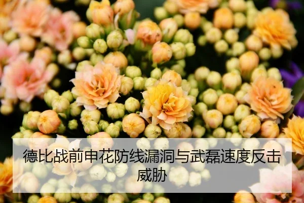 德比战前申花防线漏洞与武磊速度反击威胁